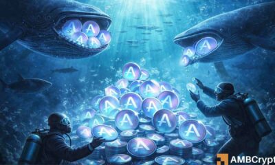 Las ballenas de Aave acaparan el 8% de la oferta durante la venta masiva – ¿Es posible un movimiento a $210 SI…?