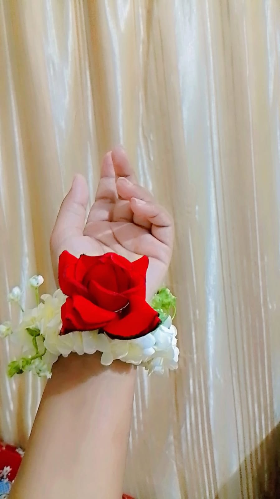 Picture of the author