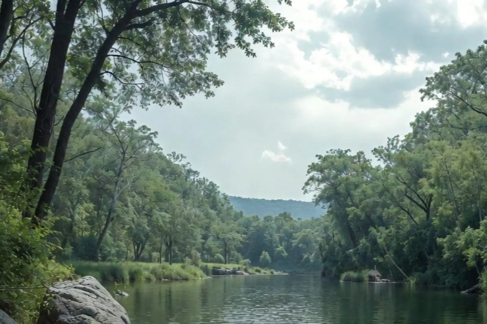 Research Perspective: The Bull Market Persists, The Agent Wave Has Arrived