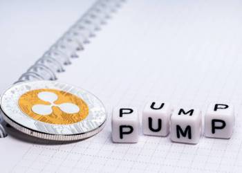 Expert Says If You Hold XRP, Pay Attention To These Things