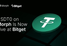 Morph扩展统一稳定币流动性，USDT0在Bitget上线