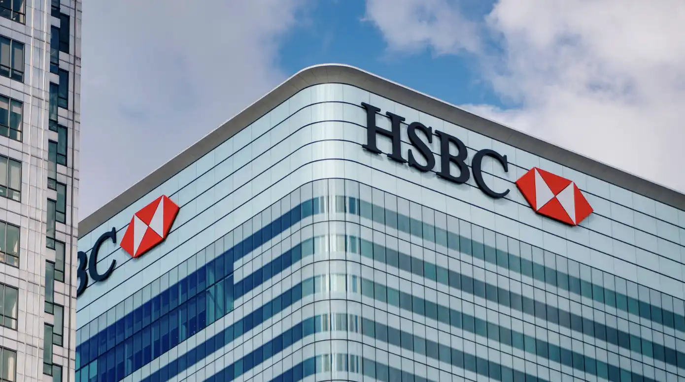 While Everyone Is Selling Software Stocks, HSBC Says You're Wrong