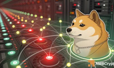 Aktivitas jaringan Dogecoin capai 71.400 – Namun apakah harga DOGE bisa mengimbangi?