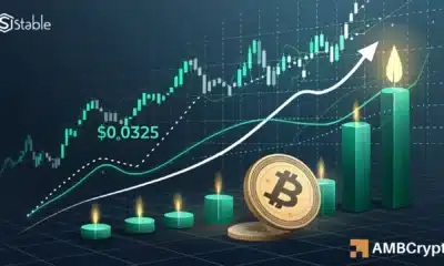 Stable se dispara un 20% – ¿Puede el precio alcanzar la zona de liquidez de $0.0325?