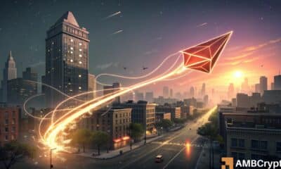 KITE价格预测：下一步是否可能回调至0.20美元？