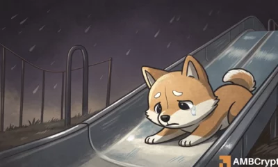 BONK暴跌18%，模因币集体下滑——新一轮下跌即将来临？