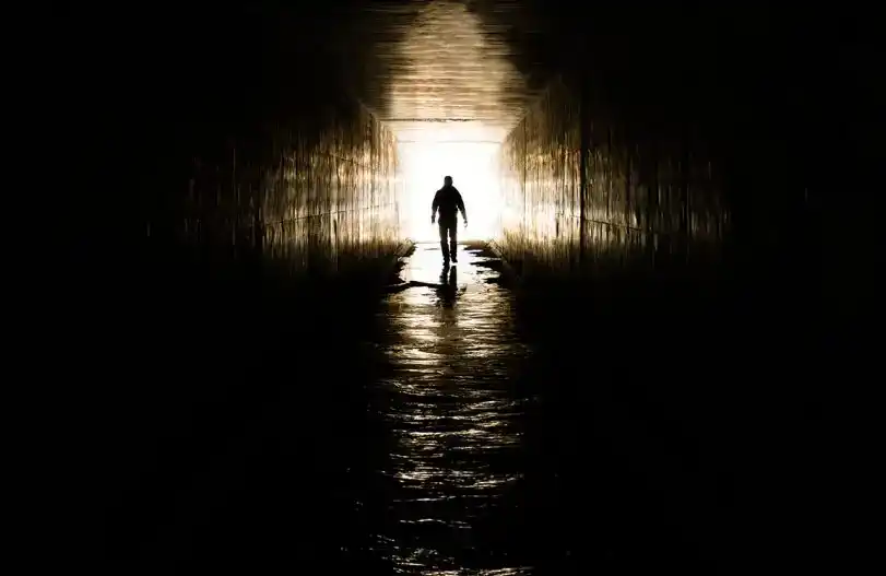 Bitwise Chief Investment Officer: The Long Night Is at Its Deepest, a Glimmer of Light for the Crypto Market Is Near