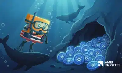 Así es como las ballenas de Cardano podrían estar moldeando la acción del precio de ADA