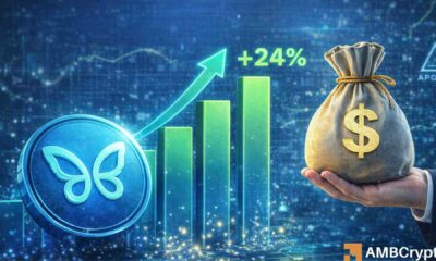 El plan de 90 millones de dólares de Apollo: ¿Suficiente para borrar la caída del 40% de MORPHO en el cuarto trimestre?