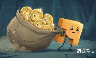 Dogecoin – Why history suggests holders can expect 2 more years of pain