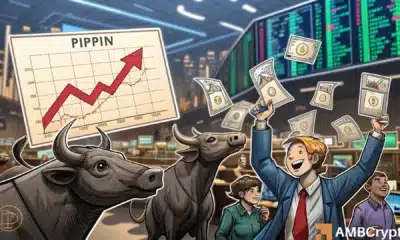 PIPPIN: Mapping memecoin’s road to $0.72 after 22% daily rally