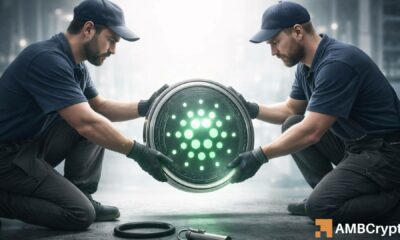 Cardano en un soporte importante: La actividad de las ballenas señala un posible rebote