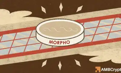 Morpho price rallies: But THIS hurdle could cap its next move