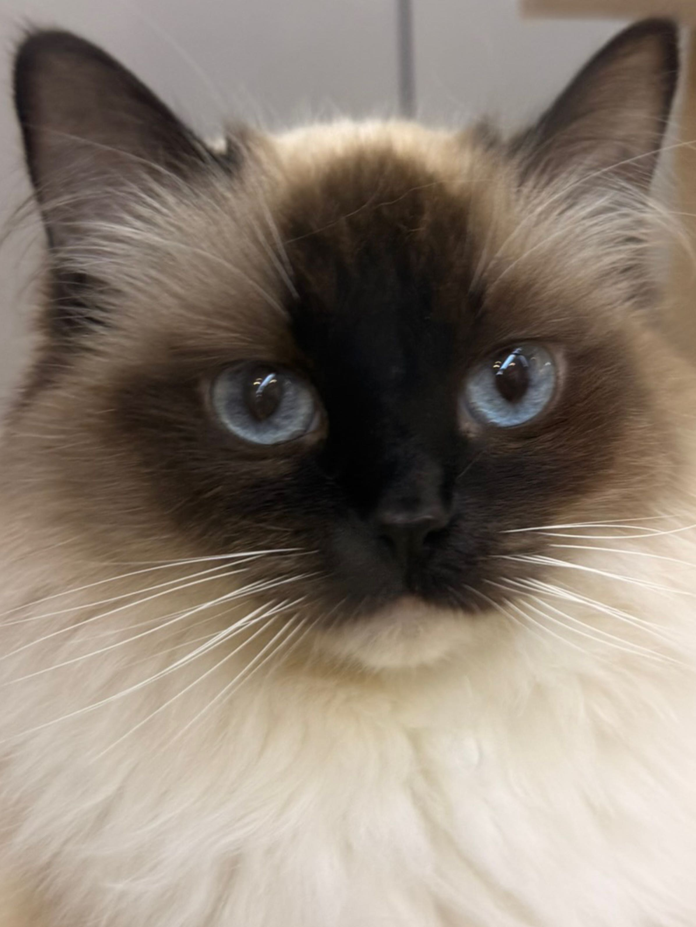 Picture of the author