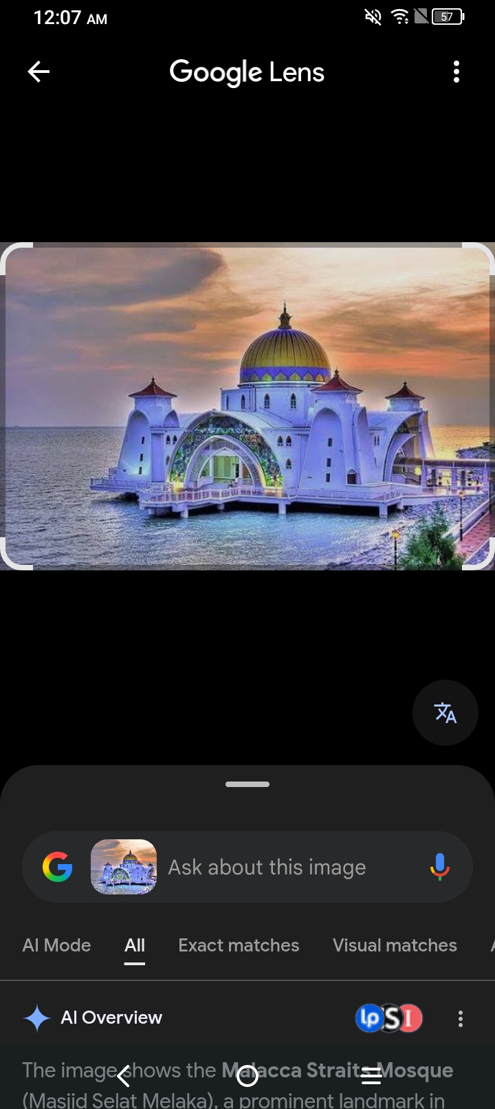 Picture of the author