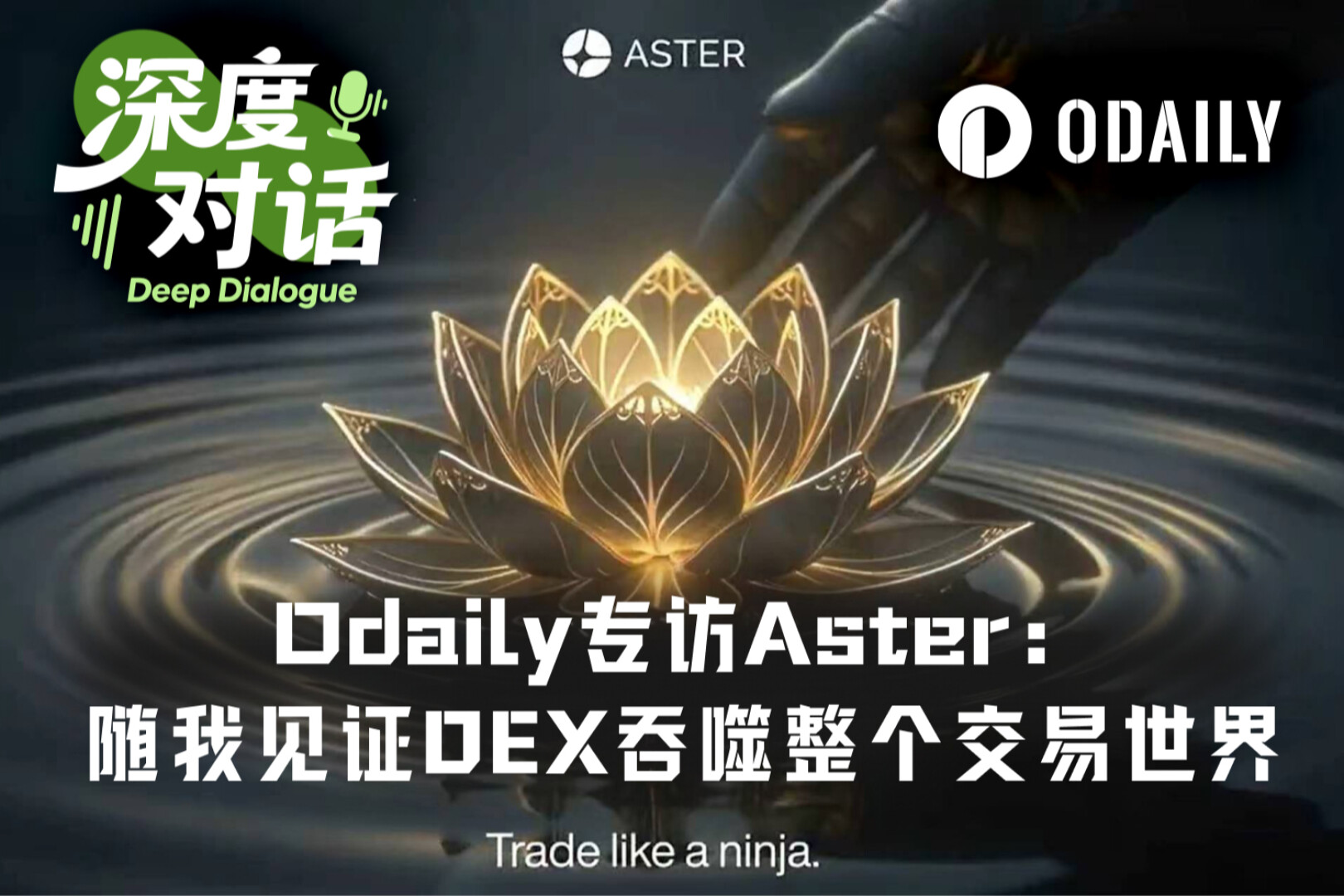 Odaily Interviews Aster: DEX Will Ultimately Devour the Entire Trading World, Optional Privacy is the Key Ladder
