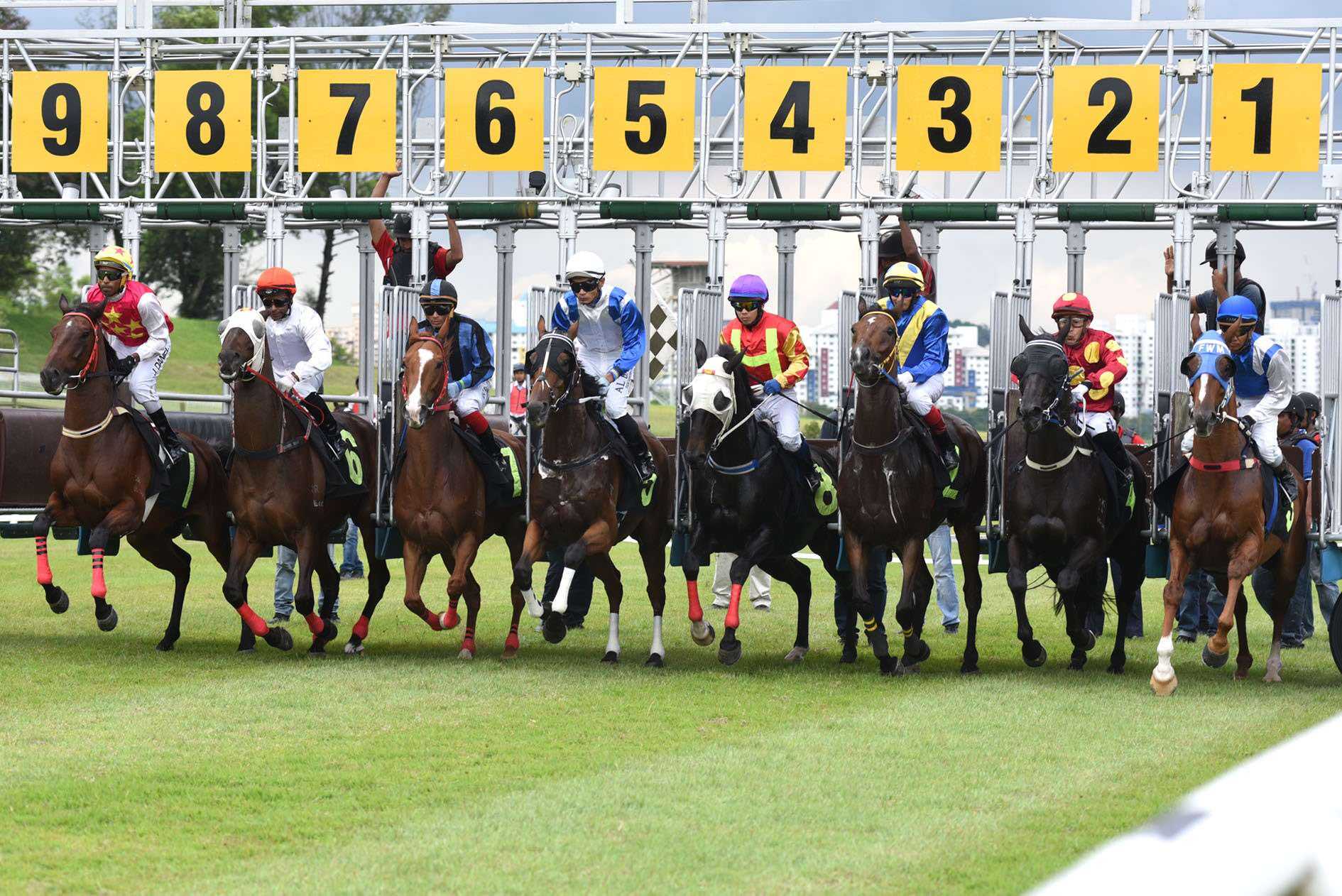 Racing 22 Agents on Hyperliquid: What Did I Discover? (Full Strategy Code Included)