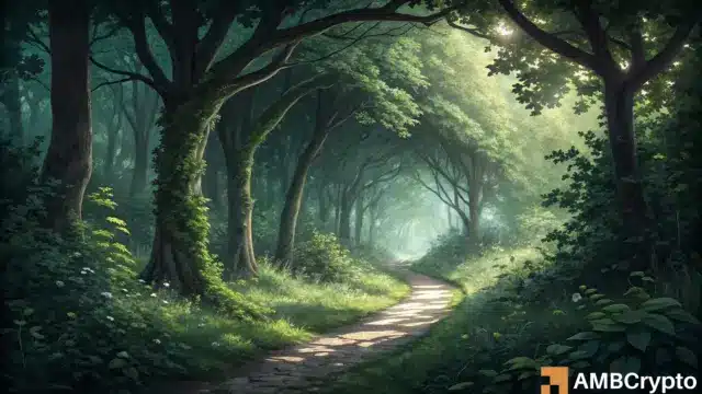 Bitcoin Cash: Inilah Alasan Mengapa Trader BCH Harus Memperhatikan Sinyal Beli INI