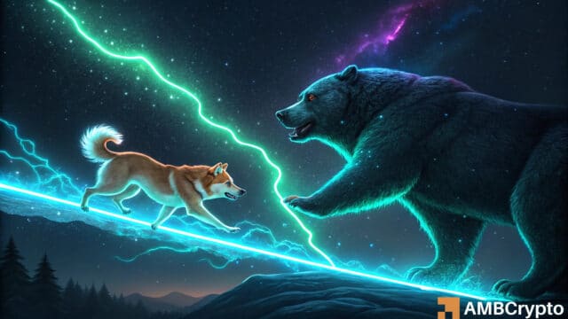 Shiba Inu’s bear run can continue for another 7 months – Here’s why