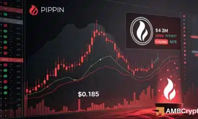 PIPPIN slides 37% as $43mln exits the market – What’s going on?