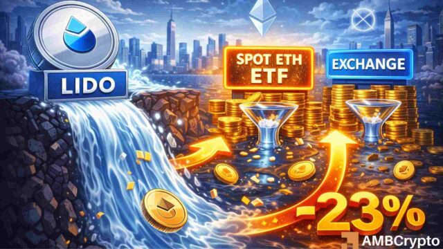 Lido: Revenue down 40%, market share intact – New report highlights mixed signals