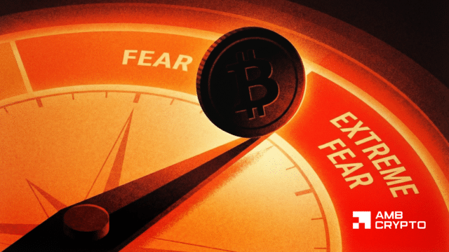 Bitcoin’s price bottom in limbo: Why BTC–gold correlation matters now