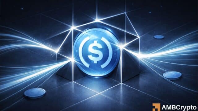 ZachXBT señala congelación de USDC: Por qué se vieron afectadas 16 carteras de exchange