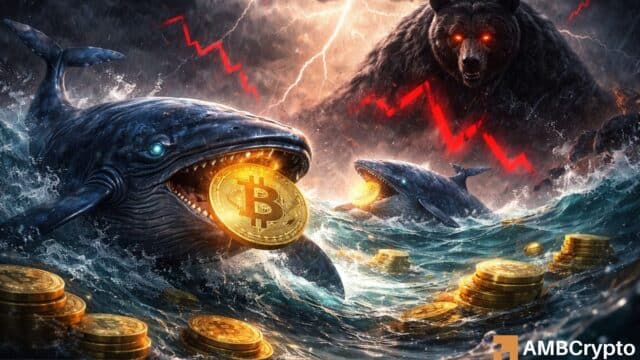 Bitcoin stalls: Why BTC risks $65K fall despite $23M whale buy