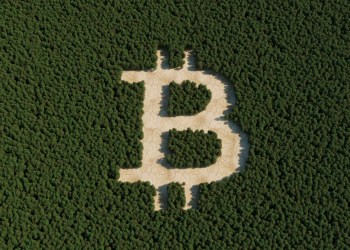 鲸鱼活动或致近期比特币回调持续——Santiment