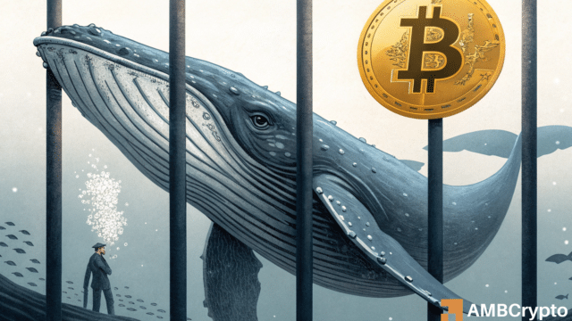 13-year Bitcoin whale’s $148M return – Why markets are watching closely