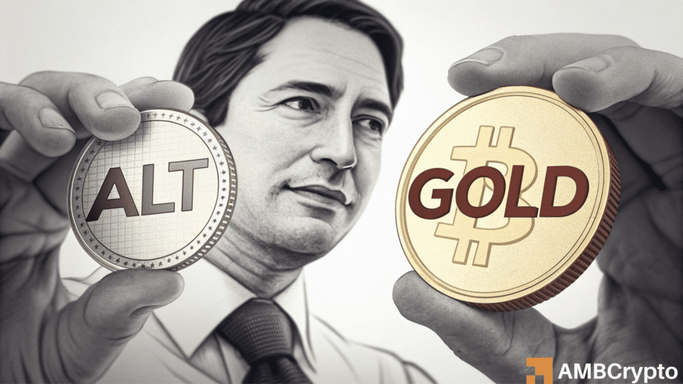 山寨币还是贵金属？风险上升之际，资金正这样轮动