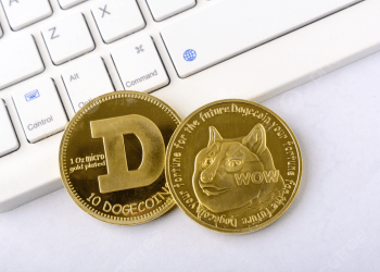 What Does The SpaceX IPO Have To Do With The Dogecoin Price?