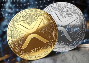 Ex-Ripple Exec Shares What Burning XRP Means, But Does It Influence Price?