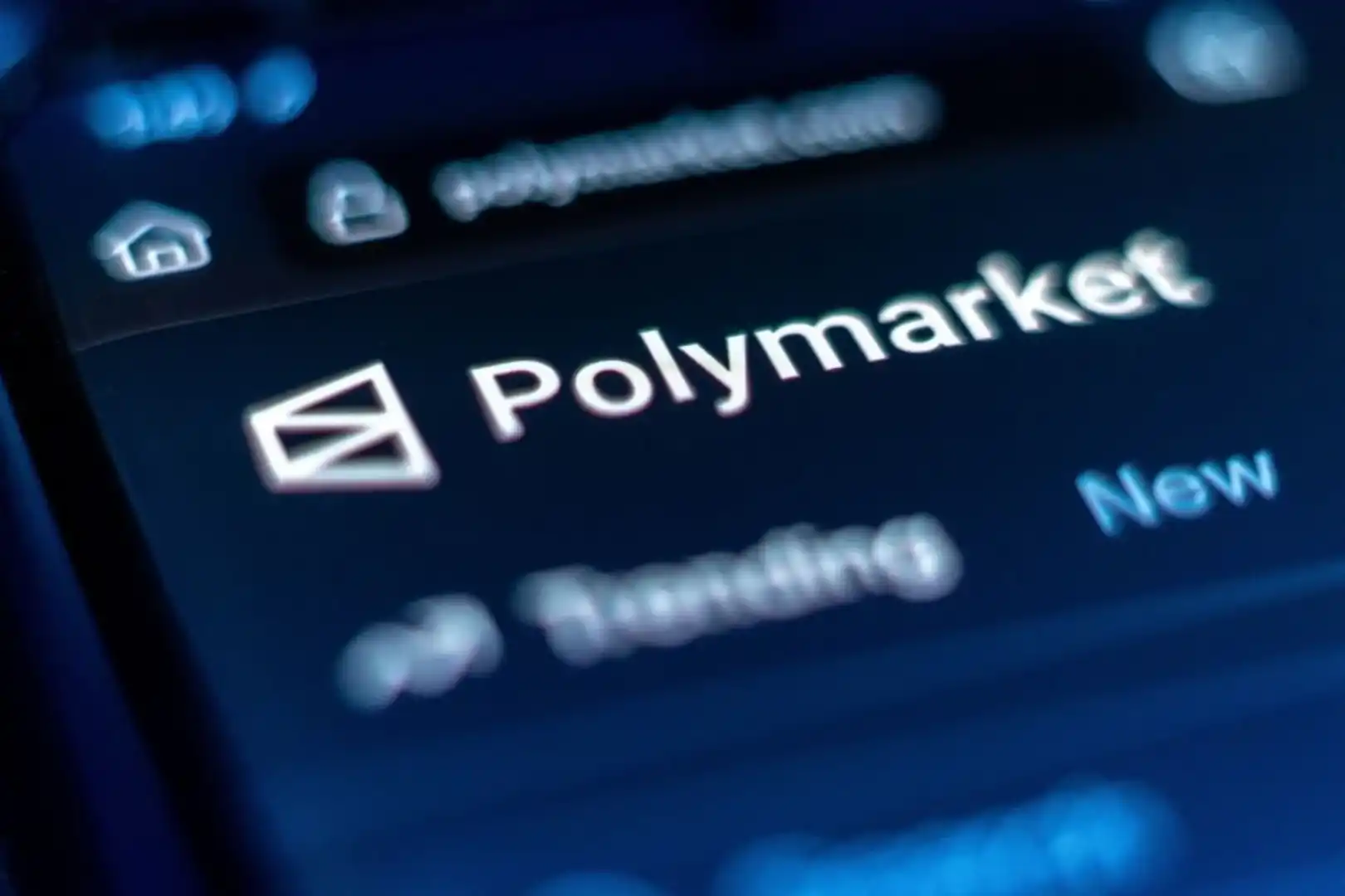 2%用户贡献90%交易量：Polymarket的真实画像