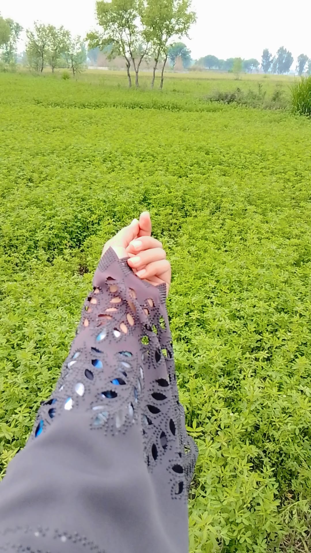 Picture of the author