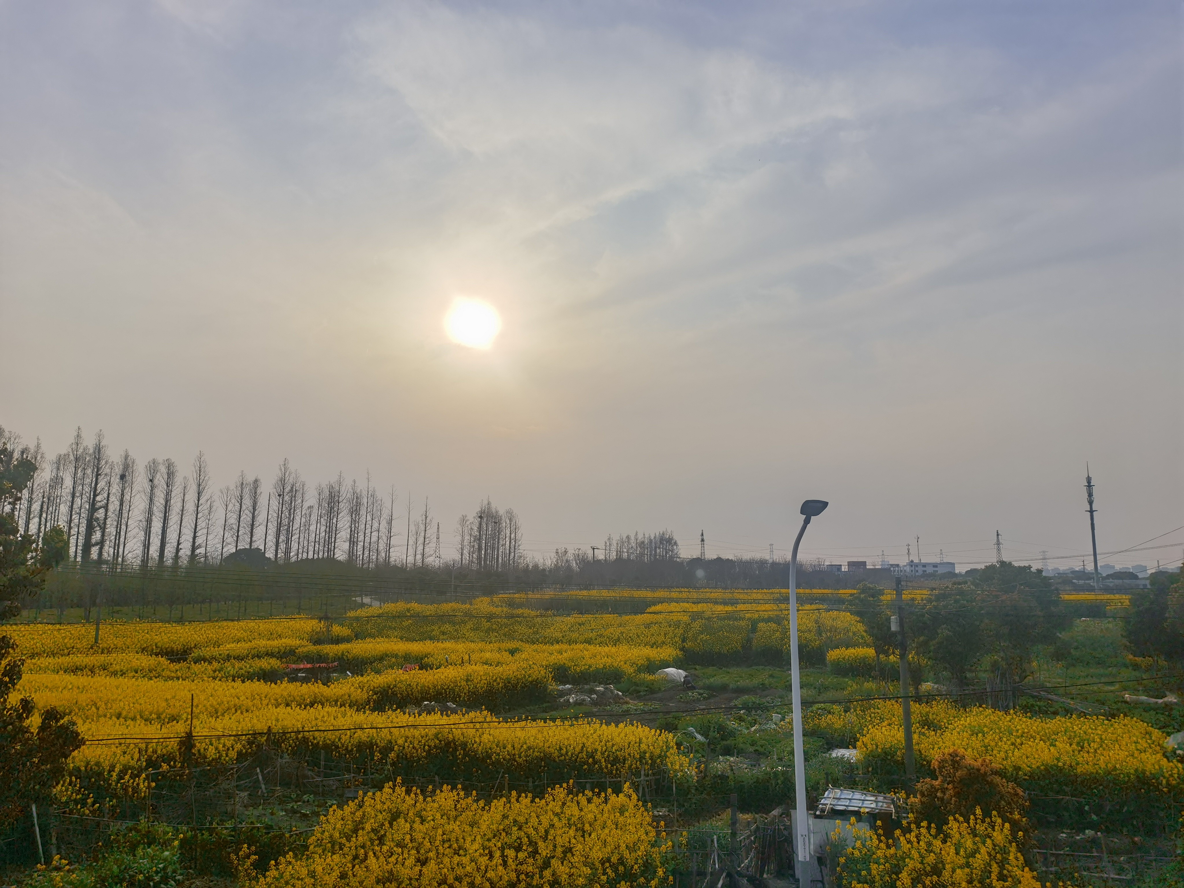 Picture of the author