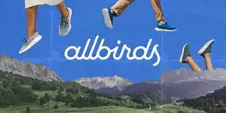 The Allbirds, the Internet-Famous Shoes That Took Silicon Valley by Storm, Are Now All in on AI