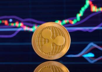 Massive XRP Adoption Trend Paints The Most Bullish Picture Yet