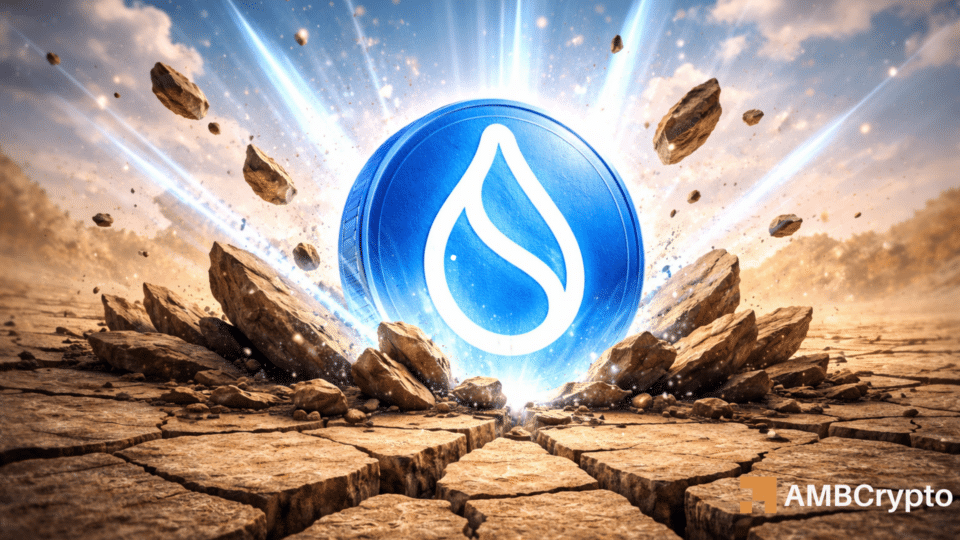 SUI targets $1 after 11% rally: Can 12.3M transactions sustain growth?