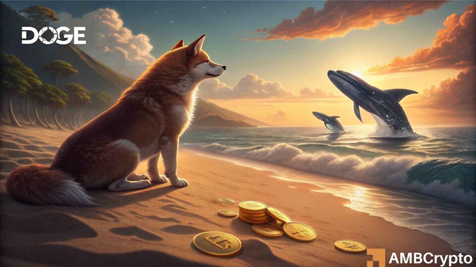 Dogecoin se estanca en 0,091 dólares: ¿Puede la compra de 500 millones por parte de ballenas impulsar la ruptura de DOGE?