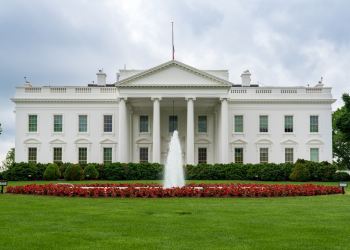 Not A Threat: Stablecoin Yield Won’t Harm Banks, White House Economists Say