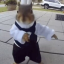 belka