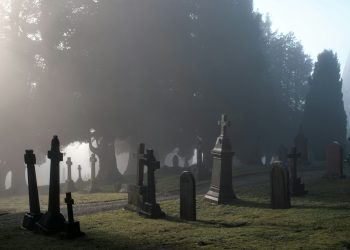 山寨币大屠杀将至？分析师称99%或将归零