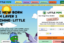 DOGE et SHIBA en baisse, Little Pepe (LILPEPE) signale un potentiel de hausse de 10 000 %