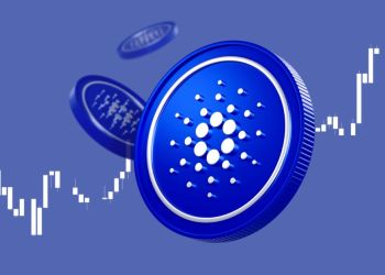Cardano Whales Return To The Table As Historical Data Says A Price Rally Could Be Coming