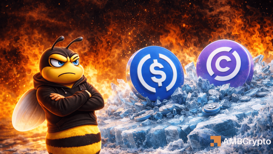 ‘Circle had 6 hours to freeze funds’ – ZachXBT slams CEO after DRIFT hack