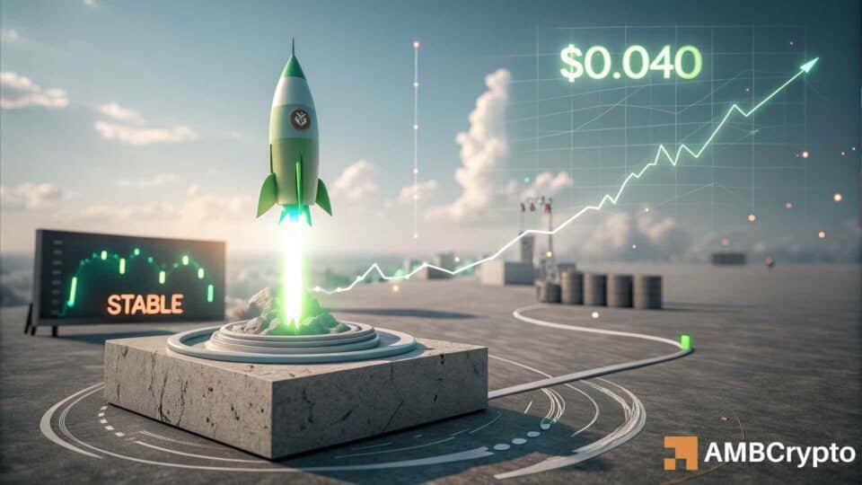 Stable enregistre une hausse de 20% : Le prix peut-il connaître une nouvelle poussée haussière ?