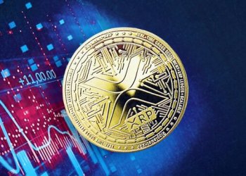 XRP Whales Have Just Set An 8-Year Record, Is This The Start Of The Next Bull Run?