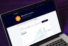 $100/Month in Bitcoin Since 2015 Would Have Turned $13,700 Into $632,000, Coinbird Analysis Shows