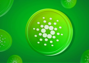 What Are The 1% Cardano Investors Doing? Crypto Pundit Breaks It Down